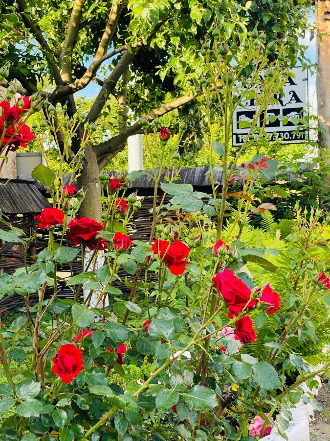 Casa Chira Hotel Vişeu de Sus Екстериор снимка