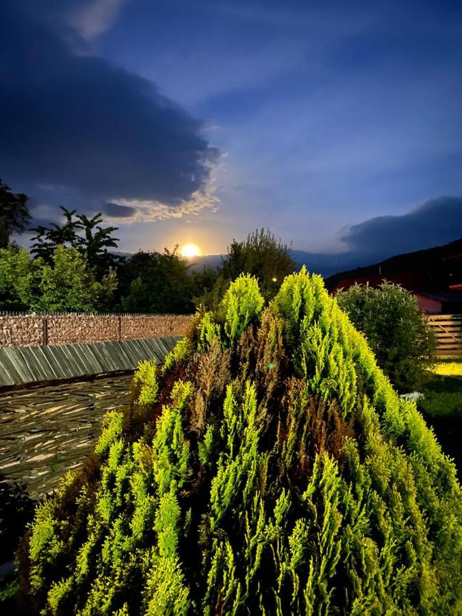 Casa Chira Hotel Vişeu de Sus Екстериор снимка