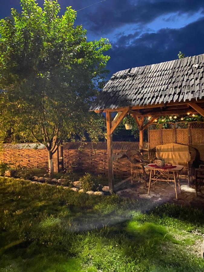 Casa Chira Hotel Vişeu de Sus Екстериор снимка