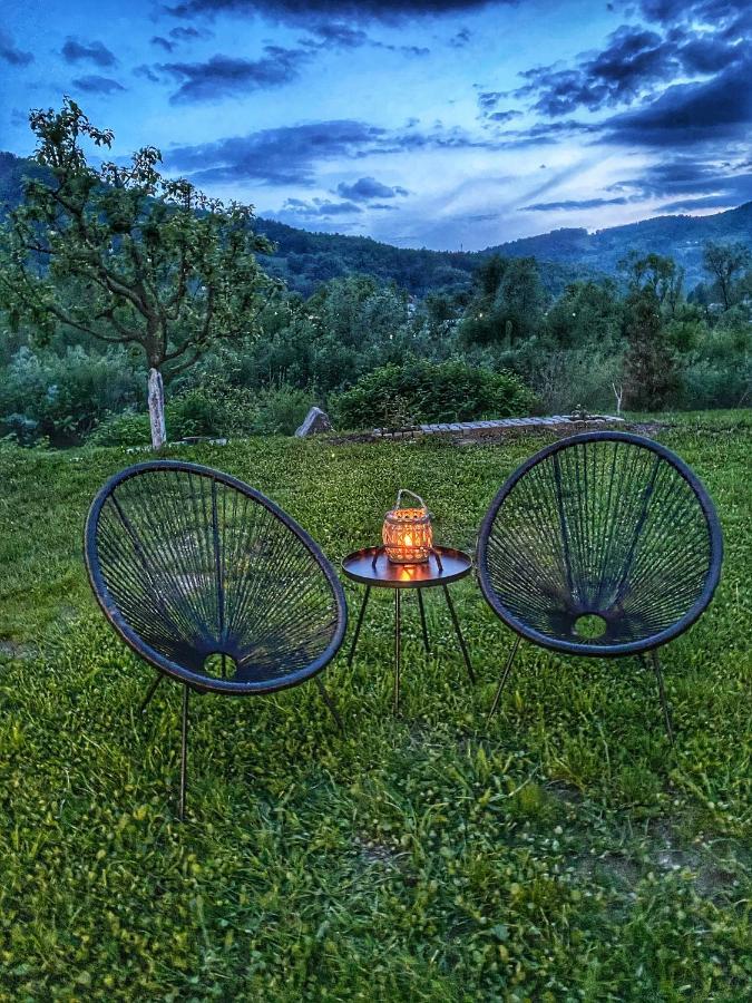 Casa Chira Hotel Vişeu de Sus Екстериор снимка