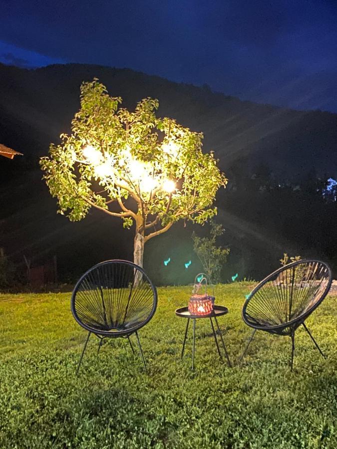 Casa Chira Hotel Vişeu de Sus Екстериор снимка
