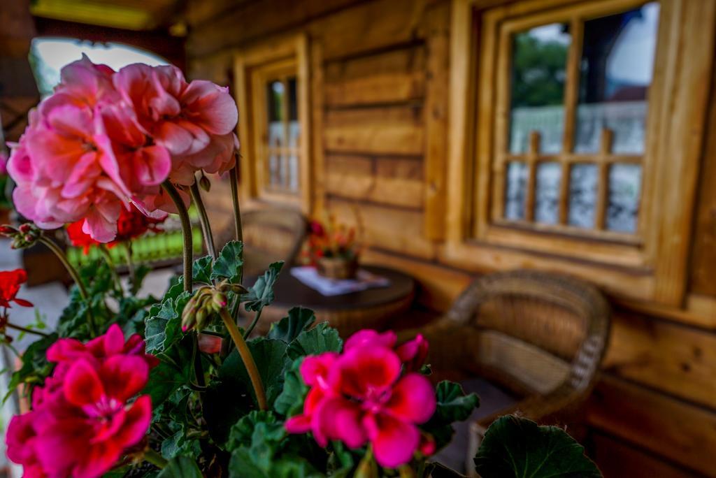 Casa Chira Hotel Vişeu de Sus Екстериор снимка