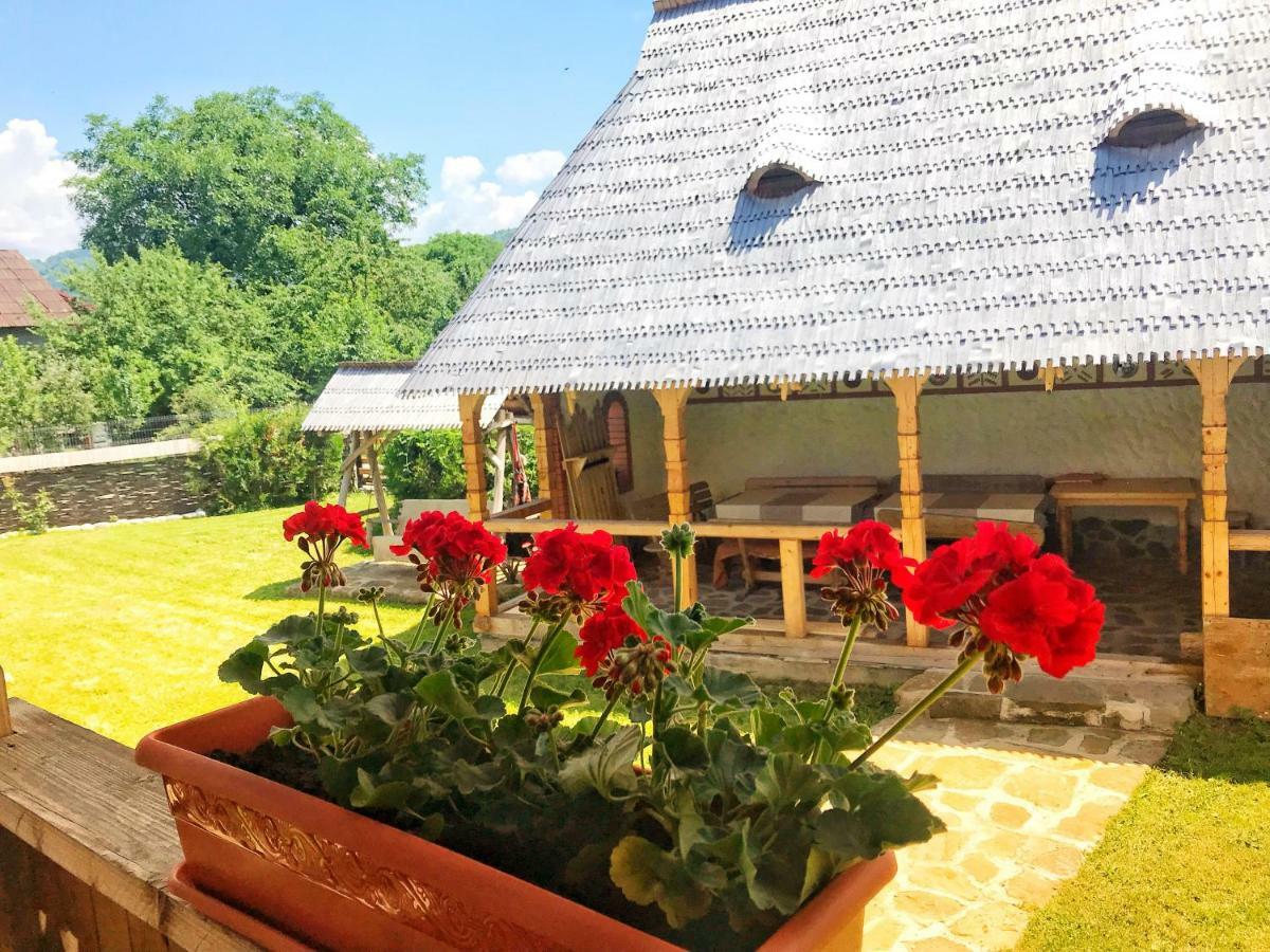 Casa Chira Hotel Vişeu de Sus Екстериор снимка